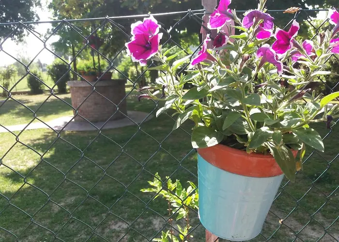 R&b Un A Colori 페라라