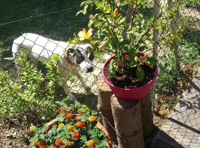 B&B R&b Un A Colori 4*