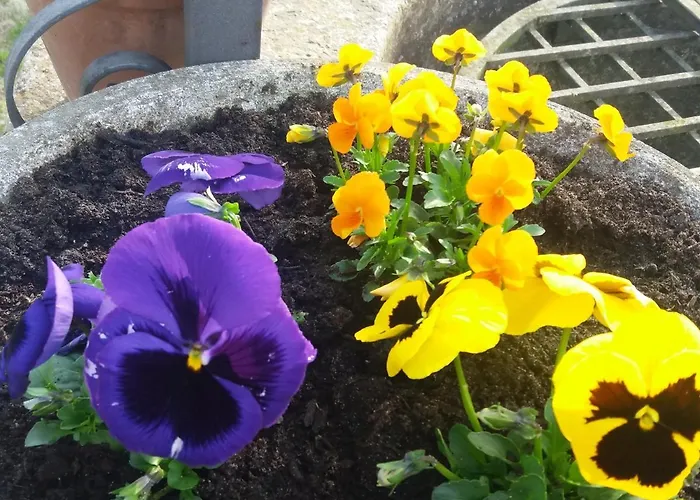 R&b Un A Colori B&B 4*