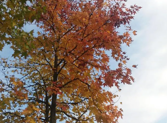 R&b Un A Colori 페라라