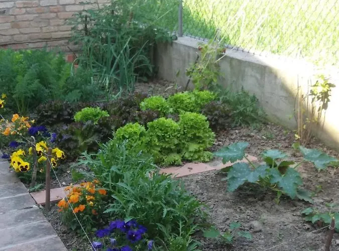 B&B R&b Un A Colori 4*