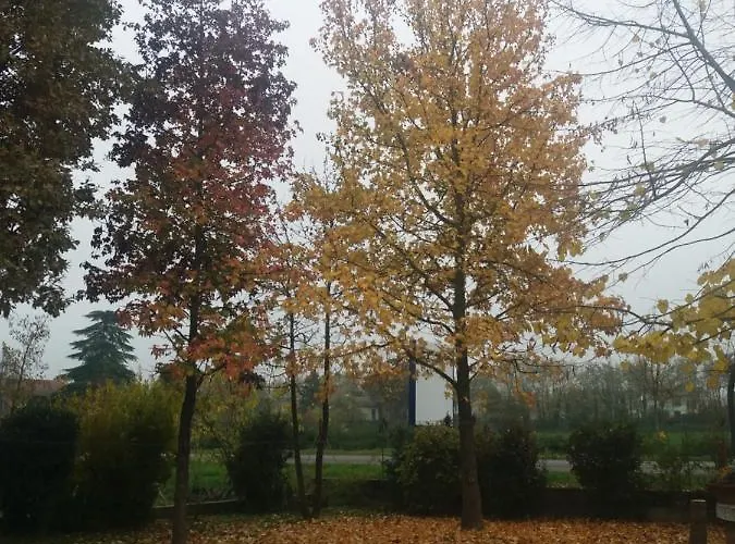 B&B R&b Un A Colori 페라라