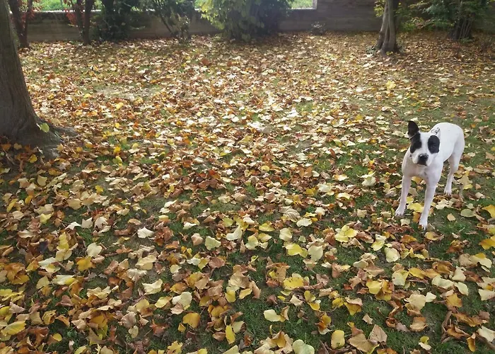 B&B R&b Un A Colori 4*