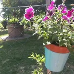 R&b Un A Colori Φεράρα