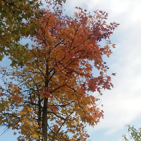 R&b Un A Colori Ferrara