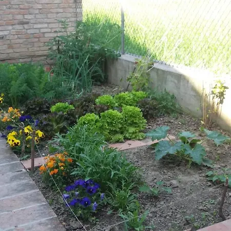 Bed & Breakfast R&b Un A Colori 4*