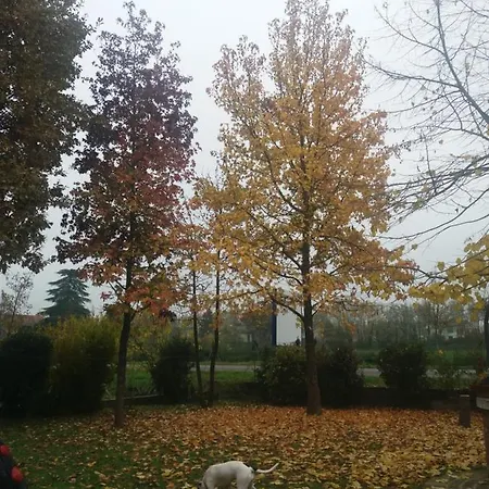 Bed & Breakfast R&b Un A Colori Ferrara