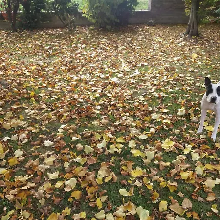 Bed & Breakfast R&b Un A Colori 4*