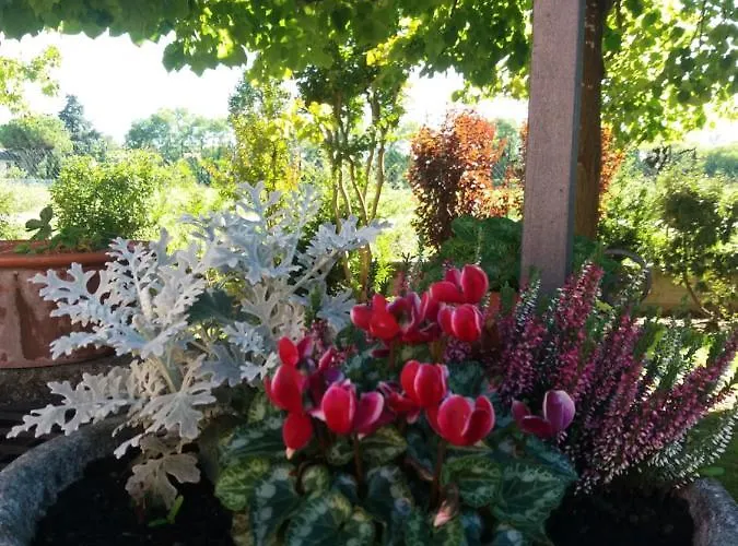 R&b Un A Colori Bed & Breakfast